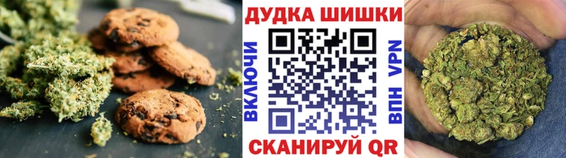 дарнет шоп  ОМГ ОМГ онион  Cannafood конопля  Бабушкин 