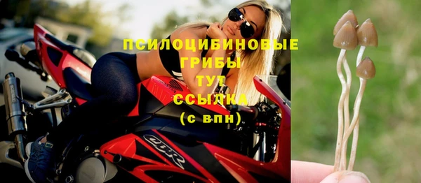 круглые Алзамай