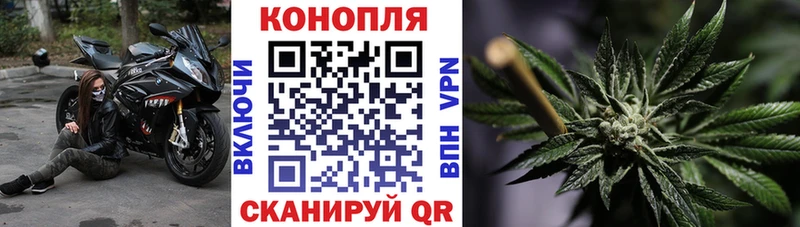 Бошки марихуана ГИДРОПОН Бабушкин